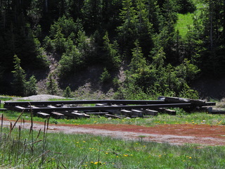 Filename=DSCN2491~0.JPG
Filesize=7177KiB
Dimensions=4608x3456
Date added=Jun 22, 2023 DSCN2491~0.JPG