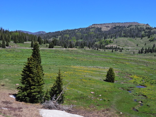 Filename=DSCN2495~0.JPG
Filesize=6867KiB
Dimensions=4608x3456
Date added=Jun 22, 2023 DSCN2495~0.JPG