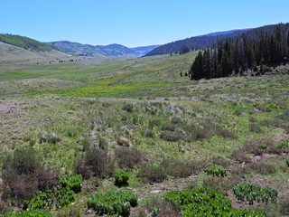 Filename=DSCN2496~0.JPG
Filesize=6795KiB
Dimensions=4608x3456
Date added=Jun 22, 2023 DSCN2496~0.JPG