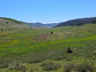 Filename=DSCN2500~0.JPG
Filesize=7006KiB
Dimensions=4608x3456
Date added=Jun 22, 2023 DSCN2500~0.JPG