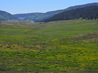 Filename=DSCN2503~0.JPG
Filesize=6563KiB
Dimensions=4608x3456
Date added=Jun 22, 2023 DSCN2503~0.JPG