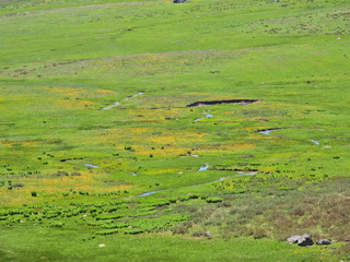 Filename=DSCN2504~0.JPG
Filesize=7091KiB
Dimensions=4608x3456
Date added=Jun 22, 2023 DSCN2504~0.JPG