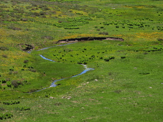 Filename=DSCN2505~0.JPG
Filesize=7500KiB
Dimensions=4608x3456
Date added=Jun 22, 2023 DSCN2505~0.JPG