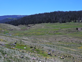 Filename=DSCN2509~0.JPG
Filesize=7073KiB
Dimensions=4608x3456
Date added=Jun 22, 2023 DSCN2509~0.JPG