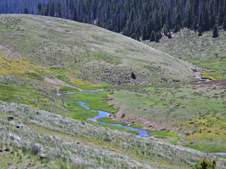 Filename=DSCN2511.JPG
Filesize=7145KiB
Dimensions=4608x3456
Date added=Jun 22, 2023 DSCN2511.JPG