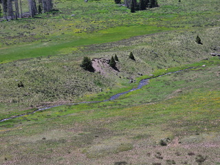 Filename=DSCN2512.JPG
Filesize=6869KiB
Dimensions=4608x3456
Date added=Jun 22, 2023 DSCN2512.JPG