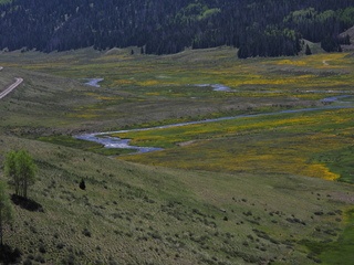 Filename=DSCN2519.JPG
Filesize=6827KiB
Dimensions=4608x3456
Date added=Jun 22, 2023 DSCN2519.JPG