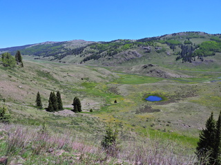 Filename=DSCN2522.JPG
Filesize=6649KiB
Dimensions=4608x3456
Date added=Jun 22, 2023 DSCN2522.JPG