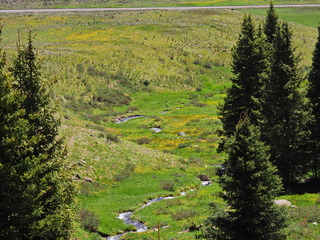 Filename=DSCN2535.JPG
Filesize=6926KiB
Dimensions=4608x3456
Date added=Jun 22, 2023 DSCN2535.JPG