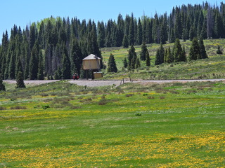 Filename=DSCN2541.JPG
Filesize=6893KiB
Dimensions=4608x3456
Date added=Jun 22, 2023 DSCN2541.JPG