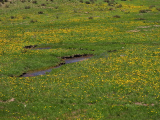 Filename=DSCN2547.JPG
Filesize=7327KiB
Dimensions=4608x3456
Date added=Jun 22, 2023 DSCN2547.JPG