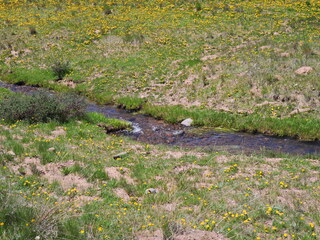 Filename=DSCN2552.JPG
Filesize=7433KiB
Dimensions=4608x3456
Date added=Jun 22, 2023 DSCN2552.JPG