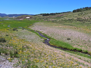 Filename=DSCN2554.JPG
Filesize=7354KiB
Dimensions=4608x3456
Date added=Jun 22, 2023 DSCN2554.JPG