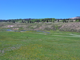 Filename=DSCN2560.JPG
Filesize=6860KiB
Dimensions=4608x3456
Date added=Jun 22, 2023 DSCN2560.JPG