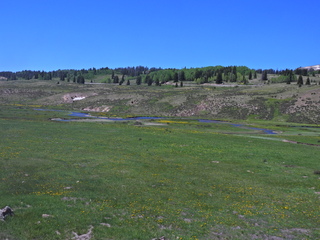 Filename=DSCN2561.JPG
Filesize=6803KiB
Dimensions=4608x3456
Date added=Jun 22, 2023 DSCN2561.JPG