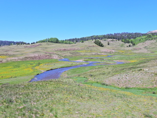 Filename=DSCN2563.JPG
Filesize=6947KiB
Dimensions=4608x3456
Date added=Jun 22, 2023 DSCN2563.JPG