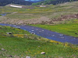 Filename=DSCN2565.JPG
Filesize=6914KiB
Dimensions=4608x3456
Date added=Jun 22, 2023 DSCN2565.JPG