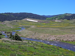 Filename=DSCN2566.JPG
Filesize=6843KiB
Dimensions=4608x3456
Date added=Jun 22, 2023 DSCN2566.JPG