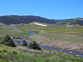 Filename=DSCN2567.JPG
Filesize=6950KiB
Dimensions=4608x3456
Date added=Jun 22, 2023 DSCN2567.JPG