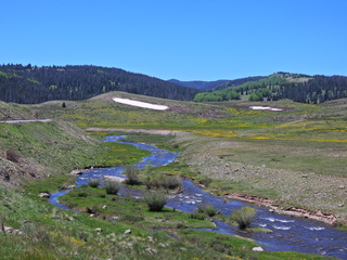 Filename=DSCN2569.JPG
Filesize=6751KiB
Dimensions=4608x3456
Date added=Jun 22, 2023 DSCN2569.JPG