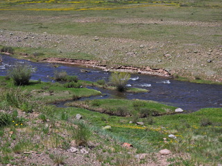 Filename=DSCN2571.JPG
Filesize=6925KiB
Dimensions=4608x3456
Date added=Jun 22, 2023 DSCN2571.JPG