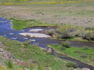 Filename=DSCN2574.JPG
Filesize=7327KiB
Dimensions=4608x3456
Date added=Jun 22, 2023 DSCN2574.JPG