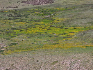 Filename=DSCN2576.JPG
Filesize=7224KiB
Dimensions=4608x3456
Date added=Jun 22, 2023 DSCN2576.JPG