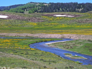 Filename=DSCN2580.JPG
Filesize=7430KiB
Dimensions=4608x3456
Date added=Jun 22, 2023 DSCN2580.JPG