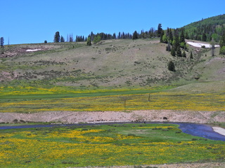 Filename=DSCN2584.JPG
Filesize=6769KiB
Dimensions=4608x3456
Date added=Jun 22, 2023 DSCN2584.JPG