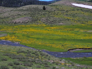 Filename=DSCN2585.JPG
Filesize=7387KiB
Dimensions=4608x3456
Date added=Jun 22, 2023 DSCN2585.JPG