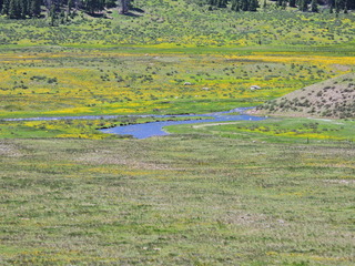 Filename=DSCN2590.JPG
Filesize=7117KiB
Dimensions=4608x3456
Date added=Jun 22, 2023 DSCN2590.JPG