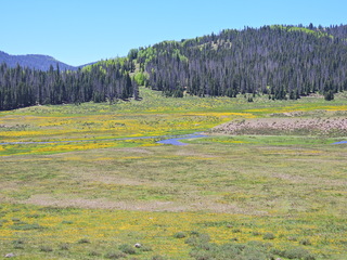 Filename=DSCN2591.JPG
Filesize=7166KiB
Dimensions=4608x3456
Date added=Jun 22, 2023 DSCN2591.JPG