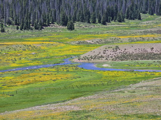 Filename=DSCN2596.JPG
Filesize=7188KiB
Dimensions=4608x3456
Date added=Jun 22, 2023 DSCN2596.JPG