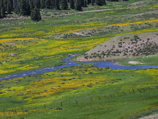 Filename=DSCN2597.JPG
Filesize=7105KiB
Dimensions=4608x3456
Date added=Jun 22, 2023 DSCN2597.JPG