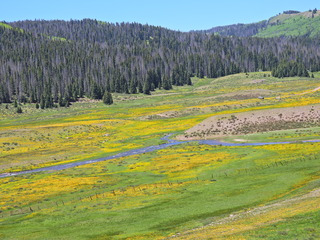 Filename=DSCN2598.JPG
Filesize=6800KiB
Dimensions=4608x3456
Date added=Jun 22, 2023 DSCN2598.JPG