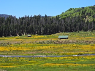 Filename=DSCN2600.JPG
Filesize=6925KiB
Dimensions=4608x3456
Date added=Jun 22, 2023 DSCN2600.JPG