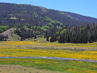 Filename=DSCN2601.JPG
Filesize=6811KiB
Dimensions=4608x3456
Date added=Jun 22, 2023 DSCN2601.JPG