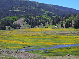 Filename=DSCN2602.JPG
Filesize=6814KiB
Dimensions=4608x3456
Date added=Jun 22, 2023 DSCN2602.JPG