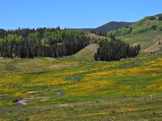 Filename=DSCN2606.JPG
Filesize=6976KiB
Dimensions=4608x3456
Date added=Jun 22, 2023 DSCN2606.JPG