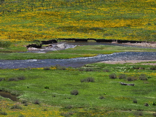 Filename=DSCN2612.JPG
Filesize=7174KiB
Dimensions=4608x3456
Date added=Jun 22, 2023 DSCN2612.JPG