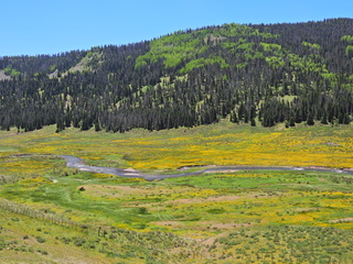 Filename=DSCN2614.JPG
Filesize=6863KiB
Dimensions=4608x3456
Date added=Jun 22, 2023 DSCN2614.JPG