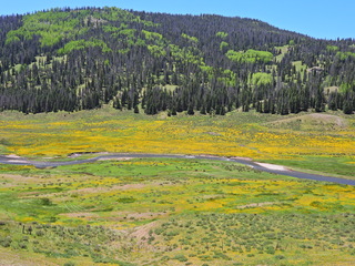 Filename=DSCN2615.JPG
Filesize=7052KiB
Dimensions=4608x3456
Date added=Jun 22, 2023 DSCN2615.JPG