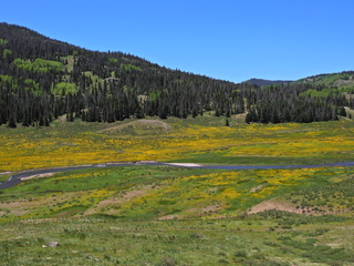 Filename=DSCN2616.JPG
Filesize=7066KiB
Dimensions=4608x3456
Date added=Jun 22, 2023 DSCN2616.JPG