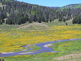 Filename=DSCN2617.JPG
Filesize=7390KiB
Dimensions=4608x3456
Date added=Jun 22, 2023 DSCN2617.JPG