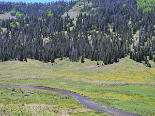 Filename=DSCN2619.JPG
Filesize=7676KiB
Dimensions=4608x3456
Date added=Jun 22, 2023 DSCN2619.JPG