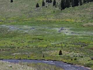 Filename=DSCN2623.JPG
Filesize=7416KiB
Dimensions=4608x3456
Date added=Jun 22, 2023 DSCN2623.JPG