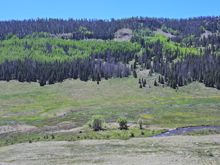 Filename=DSCN2625.JPG
Filesize=7457KiB
Dimensions=4608x3456
Date added=Jun 22, 2023 DSCN2625.JPG