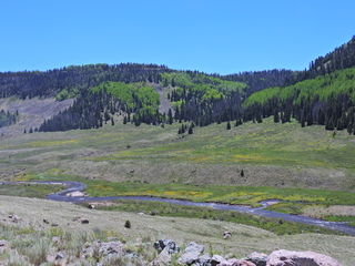 Filename=DSCN2627.JPG
Filesize=7198KiB
Dimensions=4608x3456
Date added=Jun 22, 2023 DSCN2627.JPG