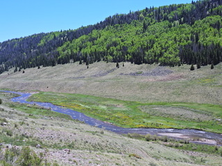 Filename=DSCN2642.JPG
Filesize=7081KiB
Dimensions=4608x3456
Date added=Jun 22, 2023 DSCN2642.JPG