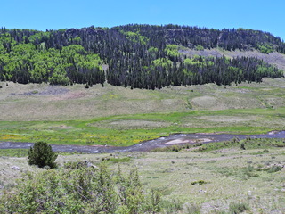 Filename=DSCN2645.JPG
Filesize=6877KiB
Dimensions=4608x3456
Date added=Jun 22, 2023 DSCN2645.JPG